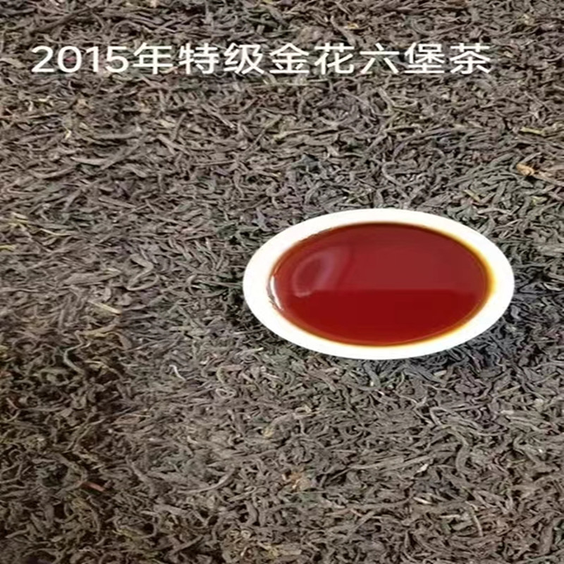 广西金花六堡茶梧州黑茶菌花香201