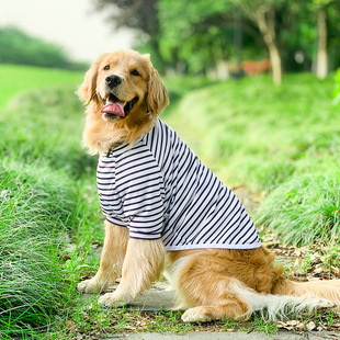 狗狗春夏薄款两脚衣防脏背心保护皮肤防晒拉布拉多柴犬金毛边牧