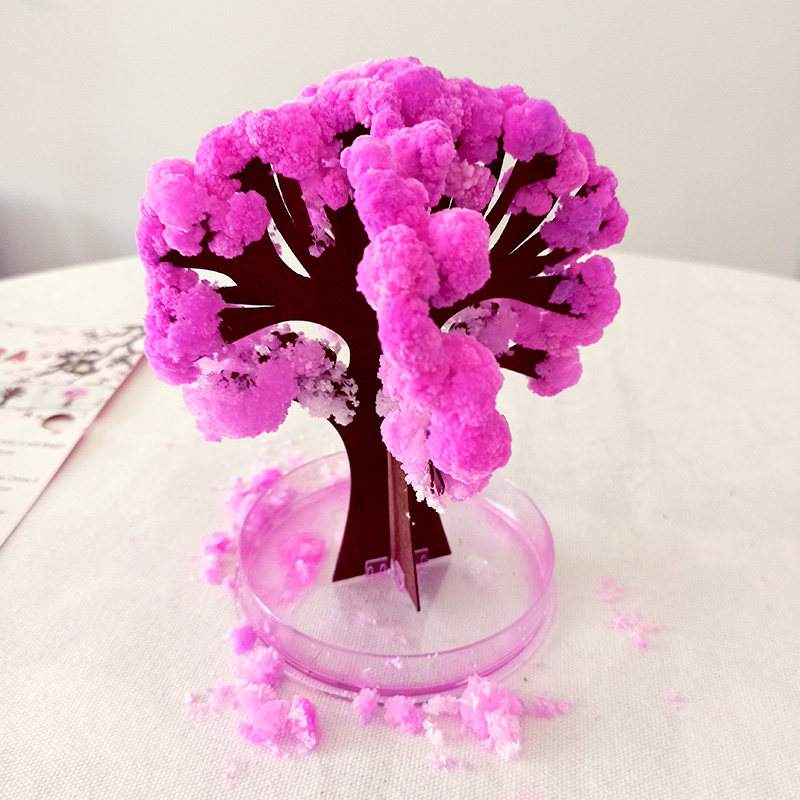 魔法会开花的樱花纸树松树创意科学实验儿童玩具幼儿园六一小礼物