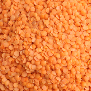 印度红扁豆 去皮开边马栗豆 split red lentils masoor dal 500g