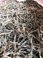 五百年古树茶单株采摘2016年春茶 茶气高 古树生茶 鲜香十足500克