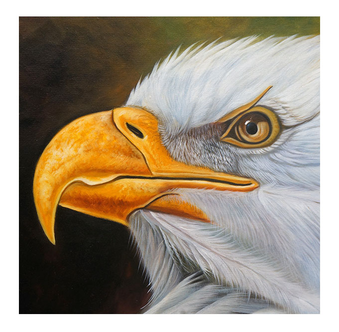 《雄鹰》叶泽仁 布面油画