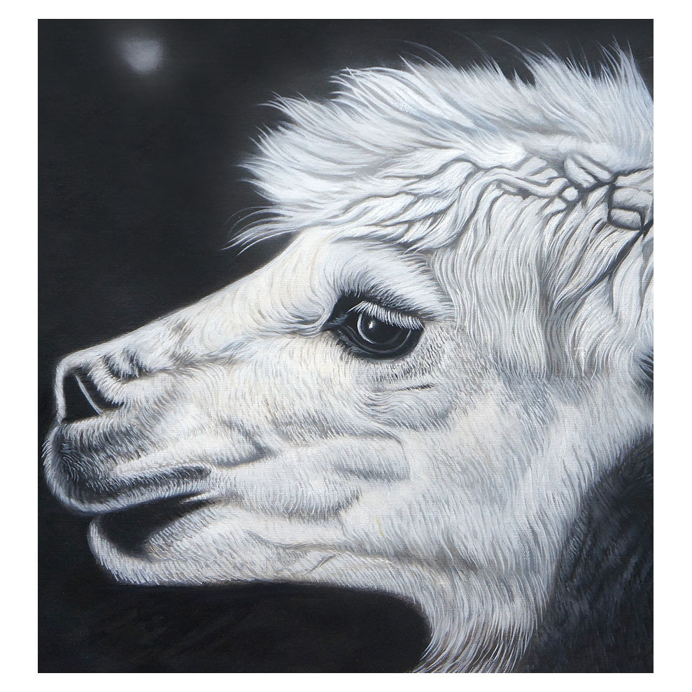 《小绵羊》叶泽仁 布面油画