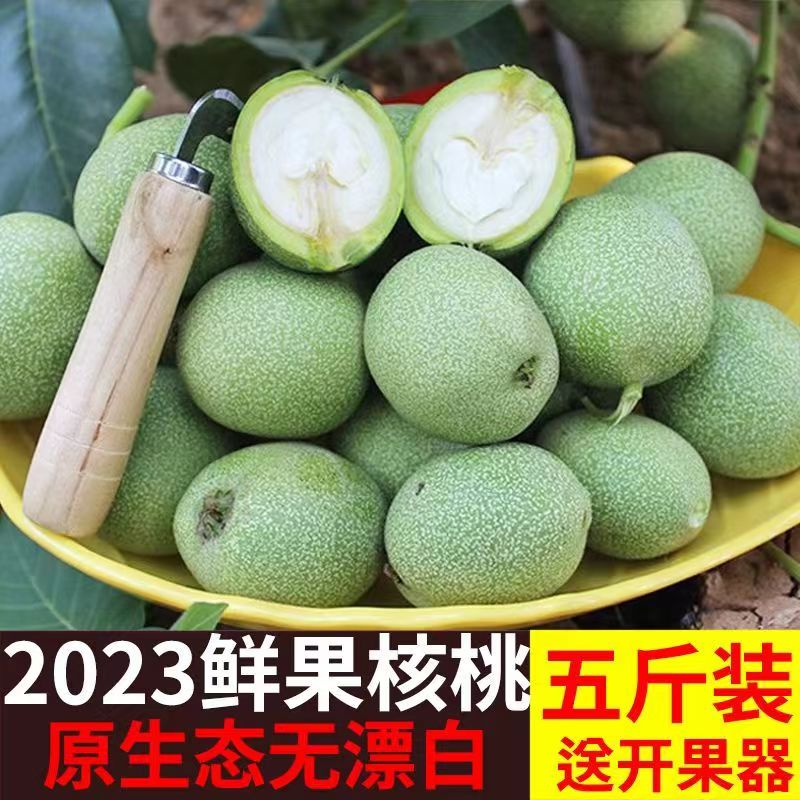 青皮核桃新鲜2023年新货现摘现发嫩核桃五斤包邮孕妇儿童鲜核桃