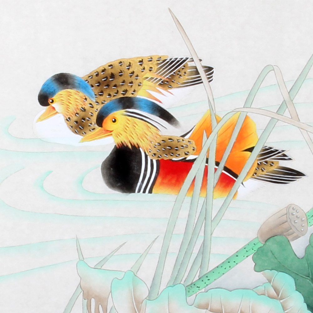 双十二吴绍正《精品工笔花鸟系列 百年好合》省美协