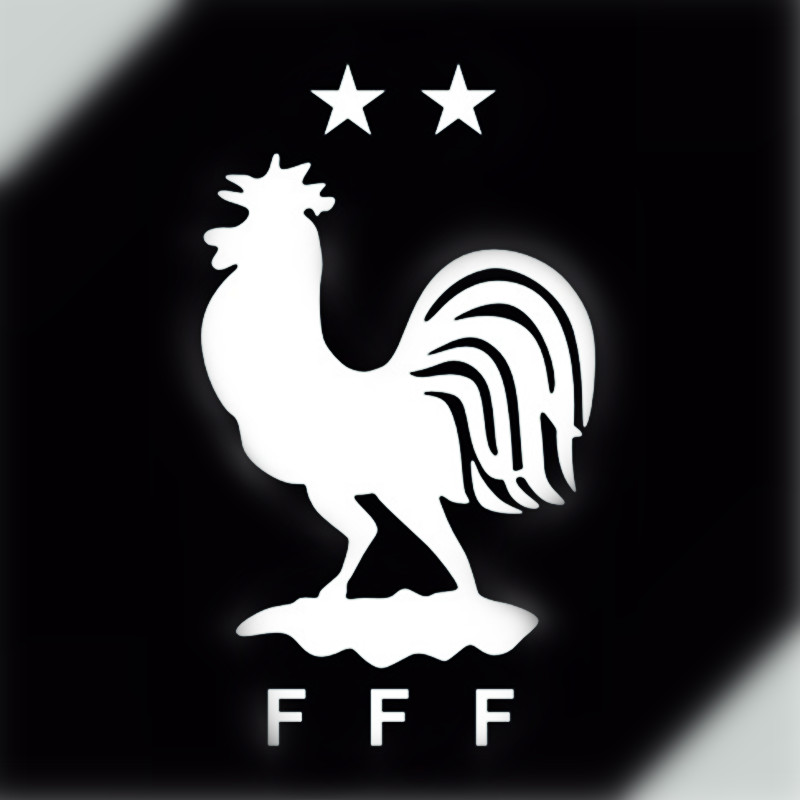 反光防水汽车摩托贴纸拉花足球迷b07法国france国家队高卢雄鸡