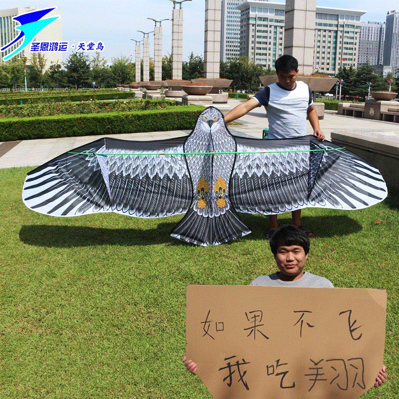 大风筝超大特大巨型抗大风大型风筝大型高档立体微风风筝线轮。在类目 特色手工艺, 地区民间特色手工艺, 风筝中 - 来自Buy2taobao.com提供专业的淘宝代购服务