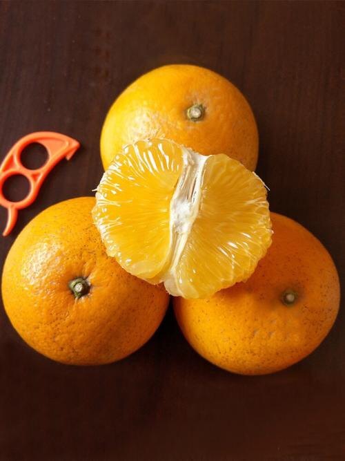 正宗常山胡柚柚子