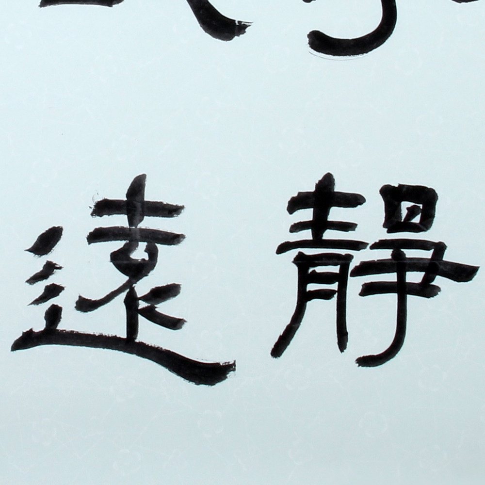 李晓燕 《精品书法系列 宁静致远》中书协