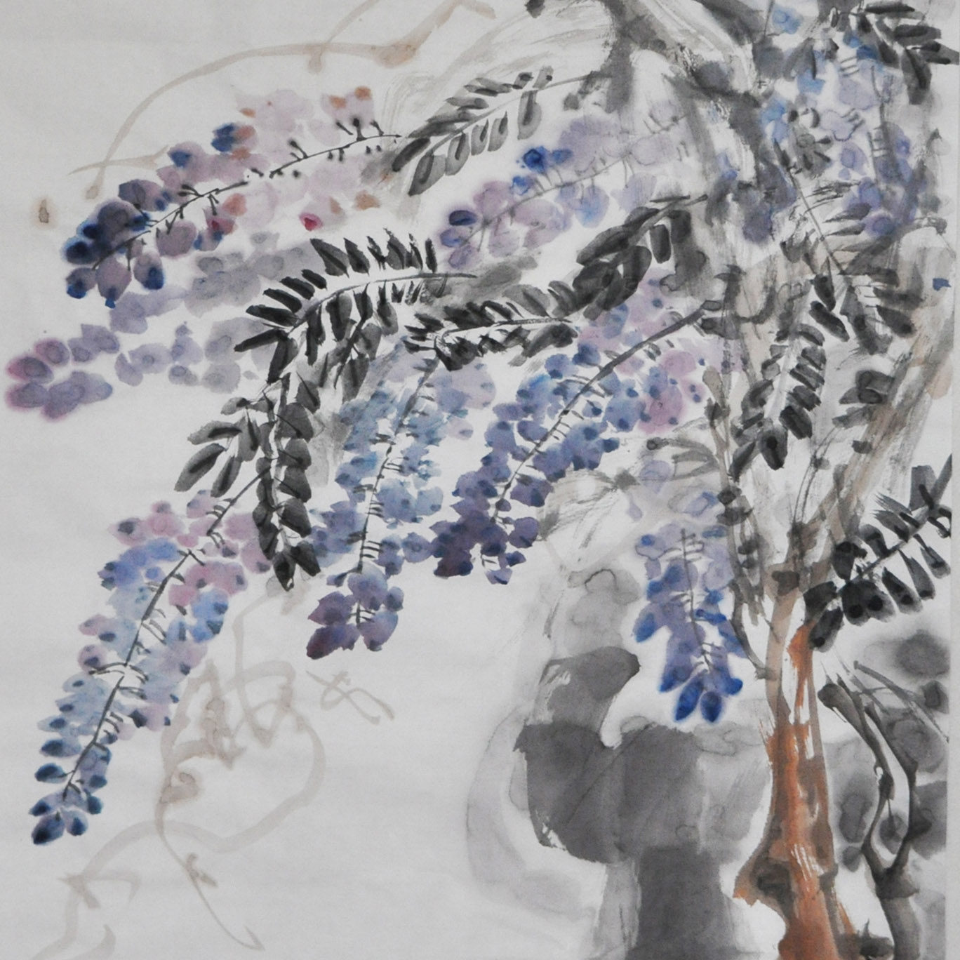 徐立《紫藤》中国工笔画学会会员