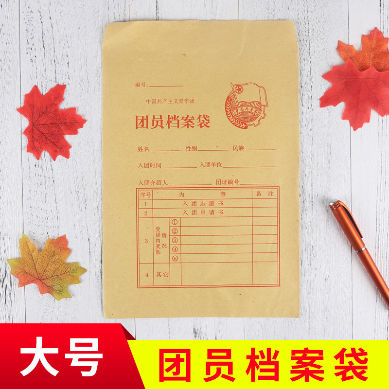 大号牛皮纸团员证档案袋另售团徽志愿书章程中号团员证档案袋团章新版