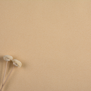 现货日口pvc墙纸壁纸 纯色橘黄色和室榻榻米 一米15元 丽彩k6-342