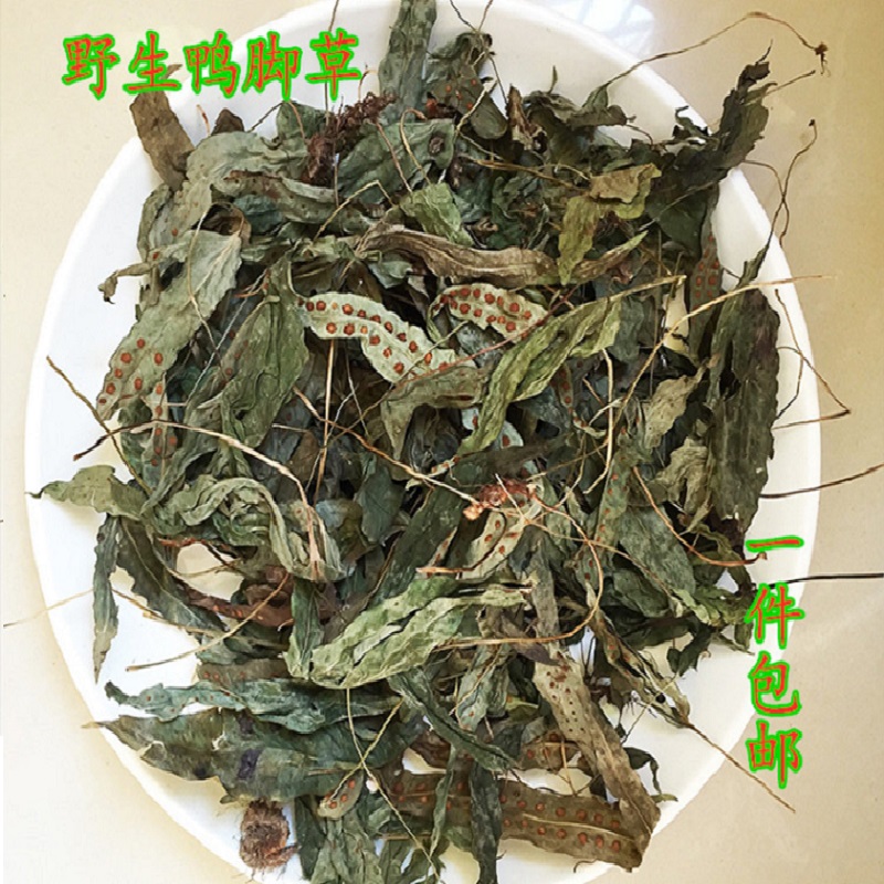 客家野生鸭掌草鸭脚草开胃消食鹅掌金星草草药煲汤食材250g包邮