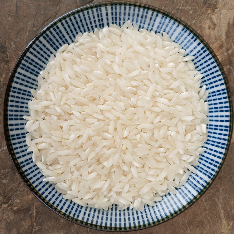 河粉 肠粉_江西农家新早稻米低糖不粘米皮早米肠粉米线河粉米豆腐米10