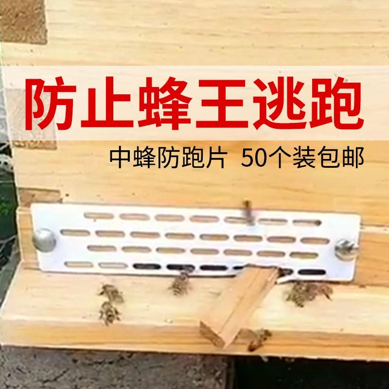 中蜂防跑片蜜蜂防跑王片防逃片蜂箱防盗蜂隔王片用蜂王防跑片包邮