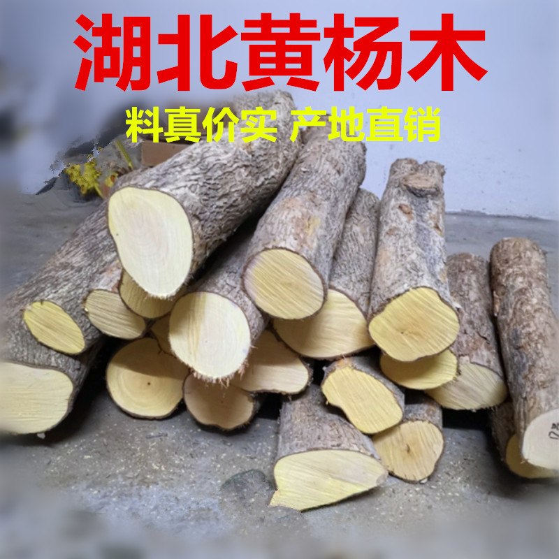湖北高山黄杨木大叶黄杨木木料原木雕刻印章笔筒弹弓料书镇纸料