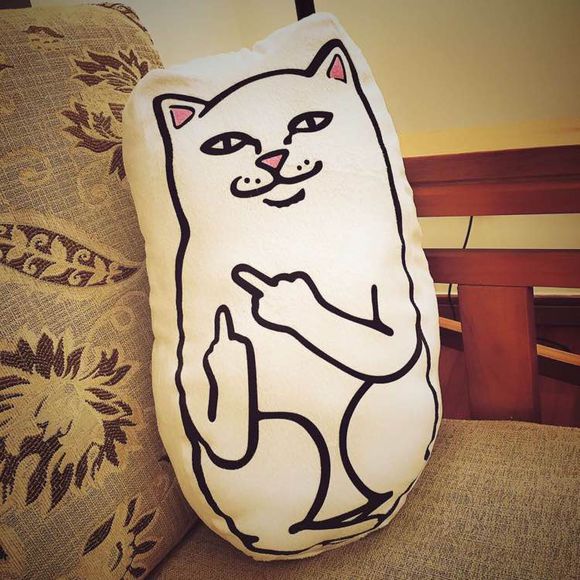 ins网红贱猫中指猫小抱枕毛绒玩具女生汽车床上靠垫搞怪个性礼物