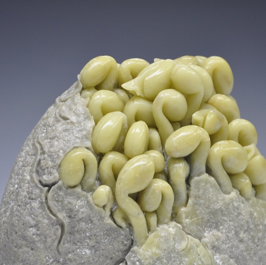 青田石雕摆件 豆芽《蒸蒸日上》 精品收藏 寓意吉祥