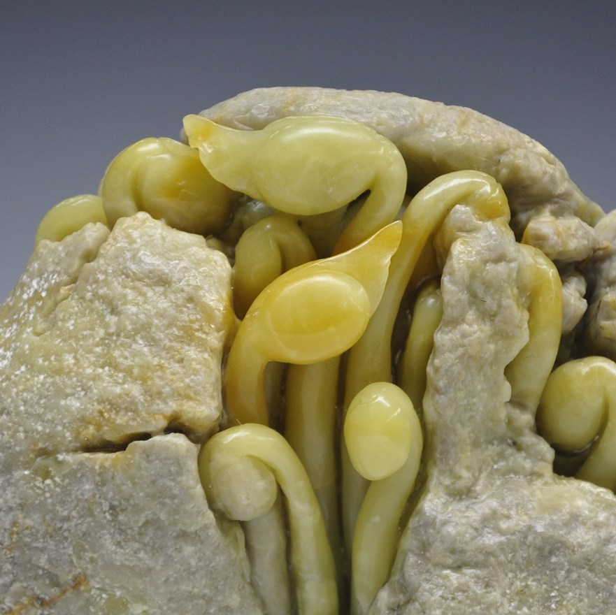 青田石雕摆件 金玉冻 豆芽《蒸蒸日上》 精品收藏