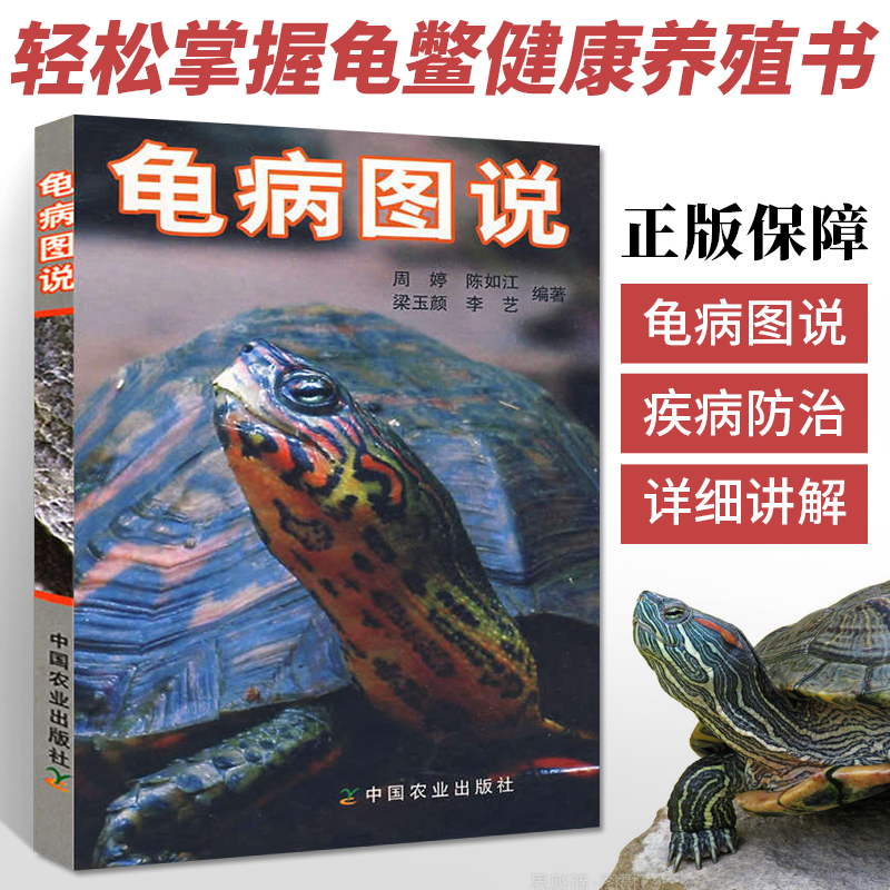 养龟书籍 正版龟病图说乌龟养殖书养好宠物龟大全宠物乌龟高效养殖技术书龟肠胃炎的书龟病防治龟类图鉴养好龟蛋龟金钱龟饲养手册