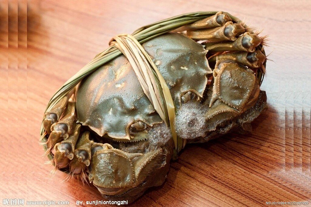 5-3.5两)胖哥俩膏蟹煲野生黑鬼铁泥蟹