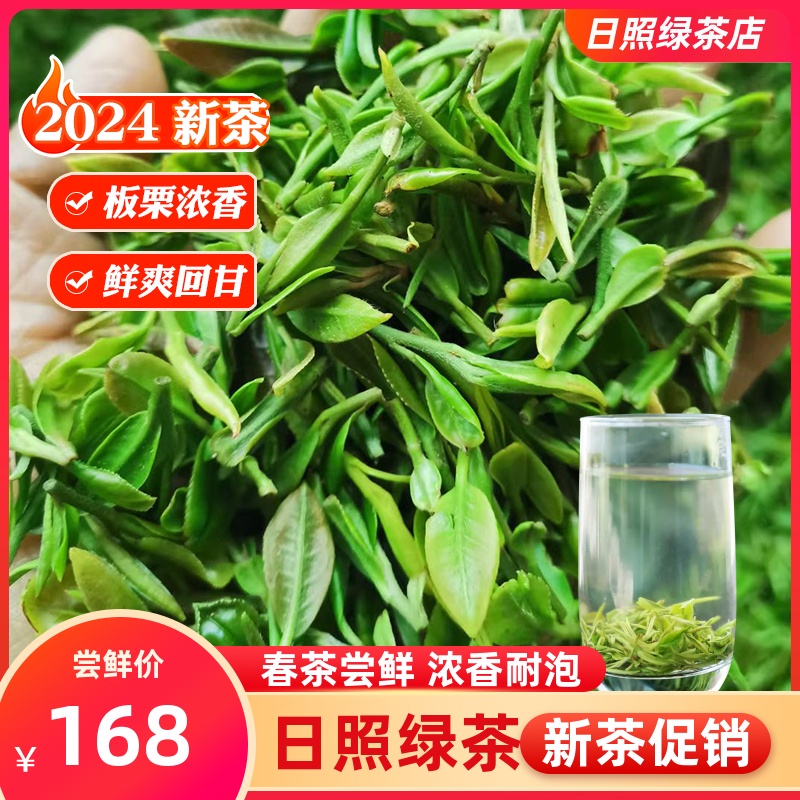 日照绿茶2024新茶叶春茶特级明前