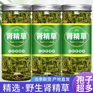 肾精草黄金草嗷嗷叫正品东北长白山野生肾精草泡水喝化石草肾经草