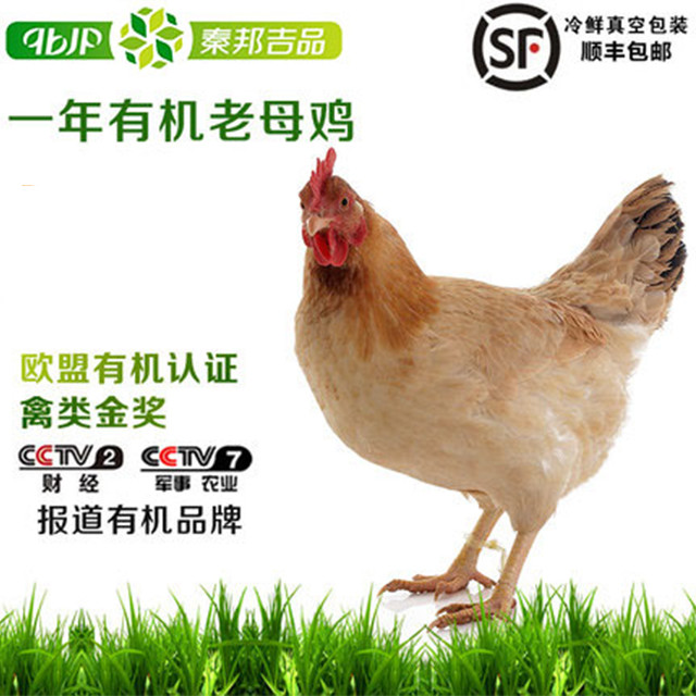 【秦邦吉品】一年400天有机老母鸡放养草鸡农家散养土鸡 顺丰|ruв категории водной мясо/свежие фрукты и овощи/еда, сырое мясо/мясо, категории куриного мяса, курица - от Buy2taobao.com для оказания профессиональной услуги покупки агента Taobao