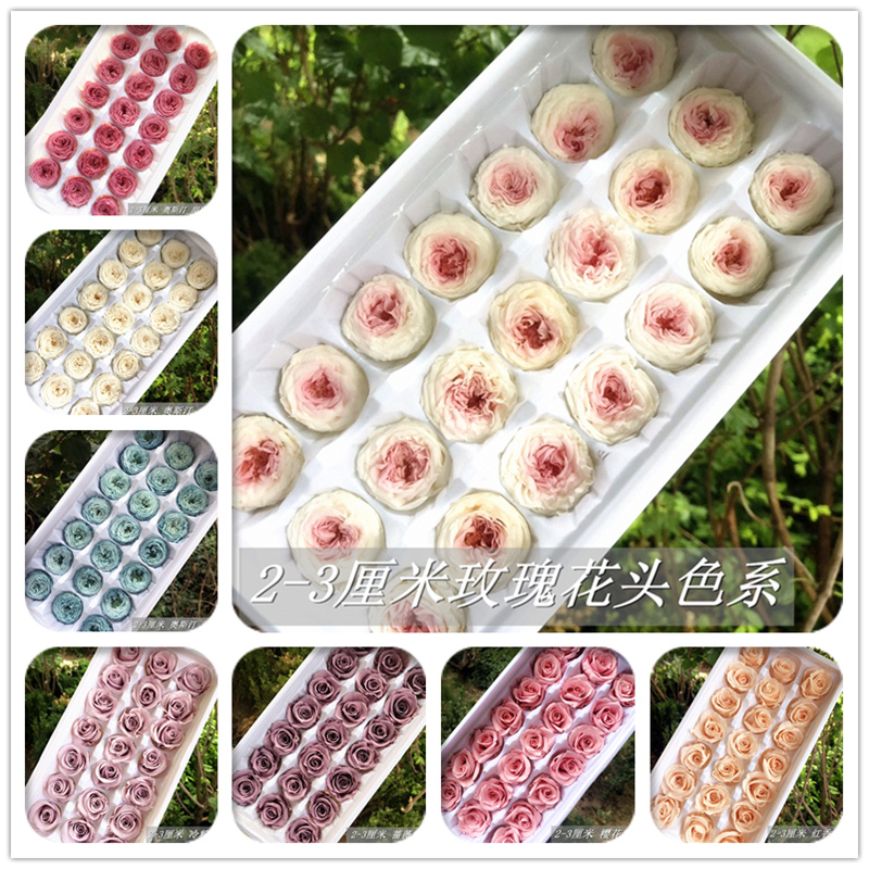 安琪拉永生花花材21朵盒装优质保鲜玫瑰2-3cm花盒代加工DIY材料包在类目 鲜花速递/花卉仿真/绿植园艺, 永生花/干花, 永生花中 - 来自Buy2taobao.com提供专业的淘宝代购服务