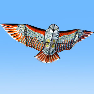 风筝老鹰立体撑杆潍坊微风放飞仿真吓鸟1.82.43.6米大号小型儿童