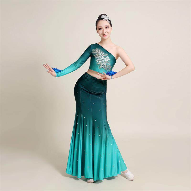 新款民族舞蹈服傣族舞演出服女艺考练舞裙表演服孔雀舞裙练习裙子