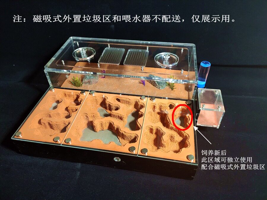 蚂蚁城堡l蚂蚁工坊家园城堡生态学生蚁巢庄园宠物活体蚁后盒子