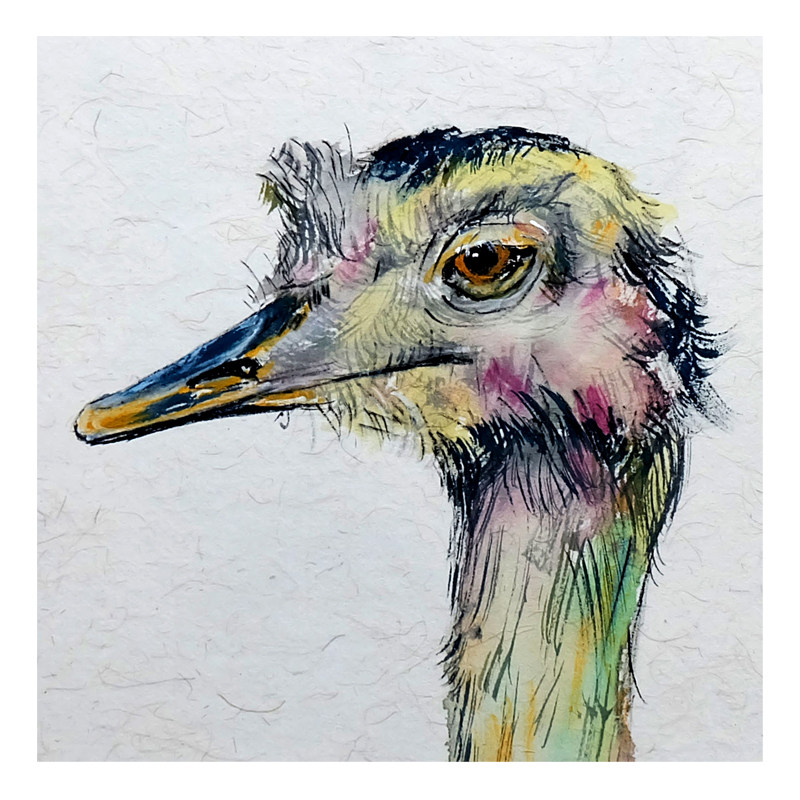 慕炜《鸵鸟》宣纸水彩