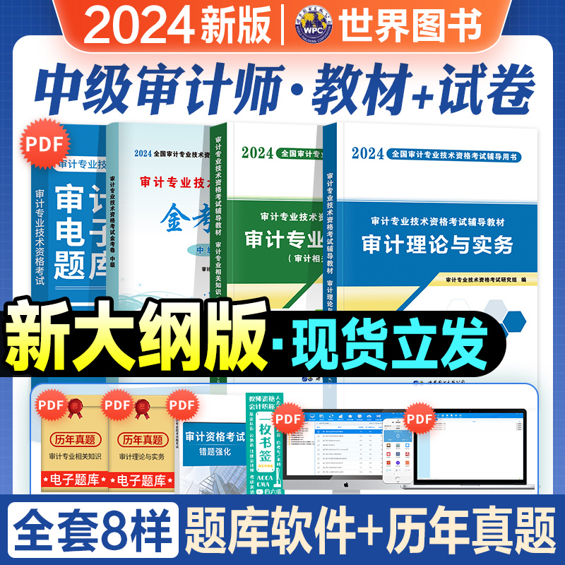 中级审计师考试教材2024年审计理