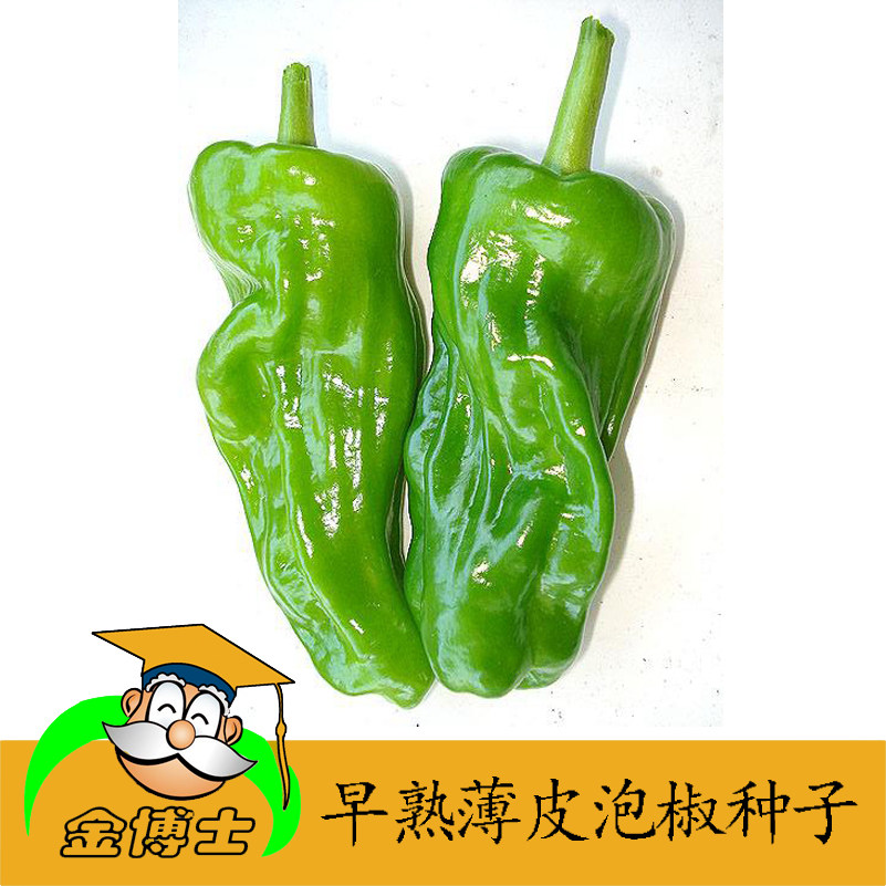 大田蔬菜辣椒籽【薄皮大泡椒种子】春夏四季播菜园栽满免邮