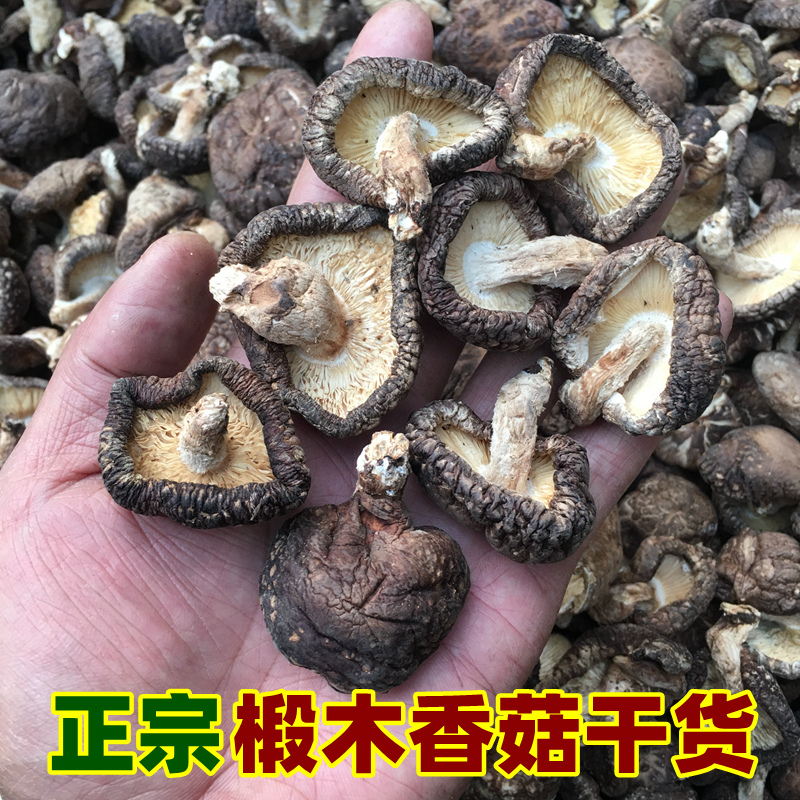 野外椴木香菇湖北农家特产木头香菇干