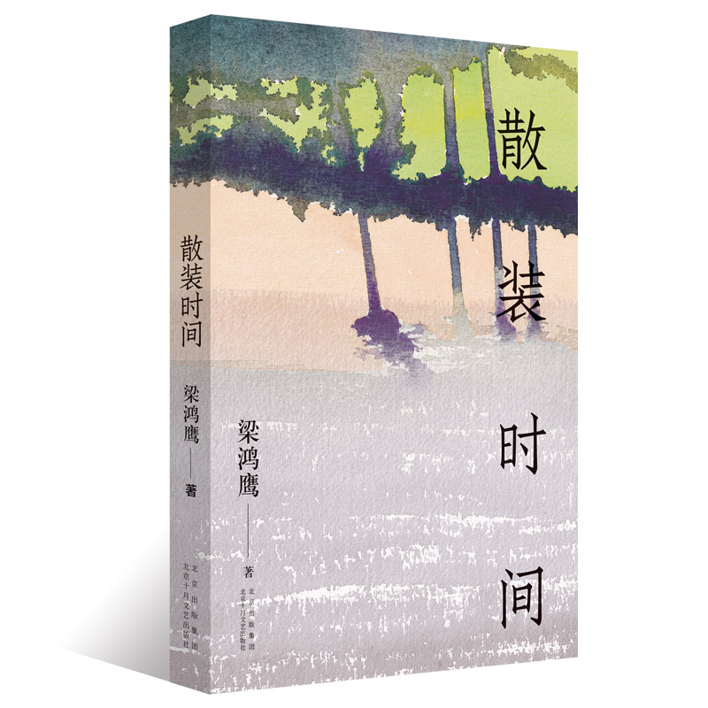 散装时间 梁鸿鹰 正版  中国版《九故事》 北方小城的《米格尔街》 十月文艺图书