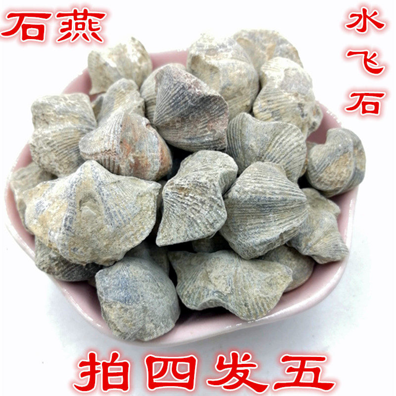 500克中药材石燕石燕子大石燕 燕子石 水飞石燕店有其他矿石齐全