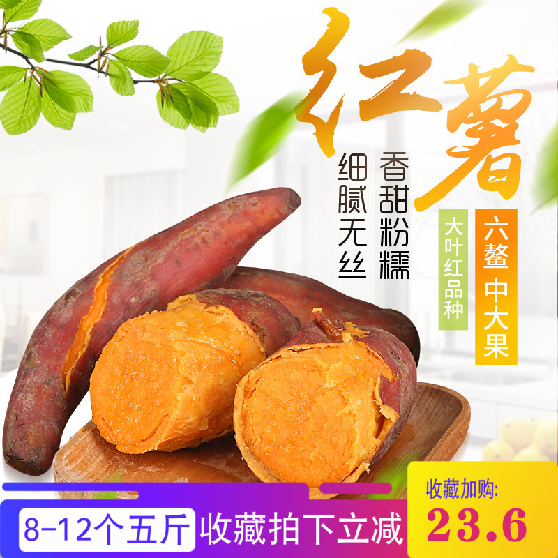 新鲜红薯福建六鳌沙地番薯地瓜农家超甜富硒自种现挖山芋板栗香薯在类目 水产肉类/新鲜蔬果/熟食, 新鲜蔬菜/蔬菜制品, 新鲜蔬菜, 番薯中 - 来自Buy2taobao.com提供专业的淘宝代购服务