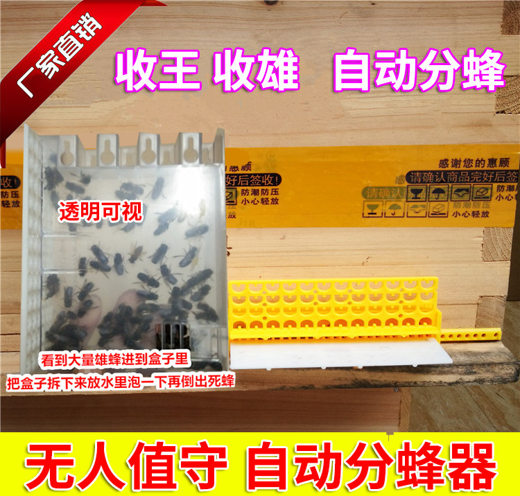 中蜂自动收王器 神器防逃器 蜜蜂囚王笼关蜂王笼自动分蜂神器中蜂