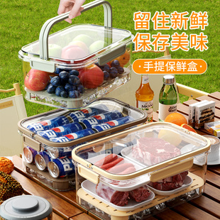 手提保鲜盒户外野餐水果便当收纳盒便携移动冰箱外出春游密封盒子