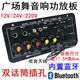 D10蓝牙功放板 收音读卡双话筒插孔混响12V24V车载220V家用175*80