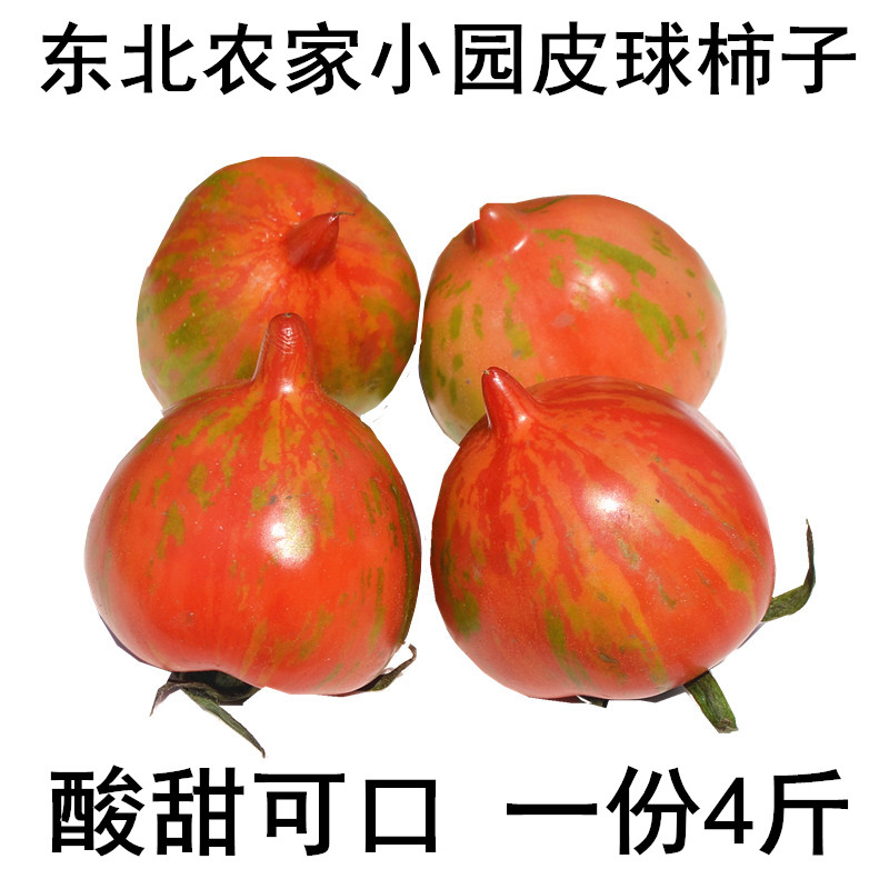 东北皮球柿子农家小园迷彩柿子花皮球柿子小番茄一份4