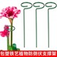 花卉绿植支撑架百合蝴蝶兰花朵防倒伏支架月季支撑杆枝条固定器