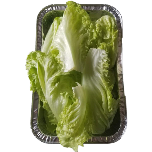 包邮 【魔都烤吧】上海烧烤食材食物配送公园bbq肉串半成品锡纸生菜