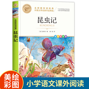 昆虫记原著正版法布尔著小学生版课外书三年级下册课外书经典书目四年级课外书班主任推荐完整版青少年读物美绘少儿版