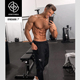 现货 GYMSHARK 男运动健身刺绣鲨鱼标九分小脚裤CRITICAL JOGGERS