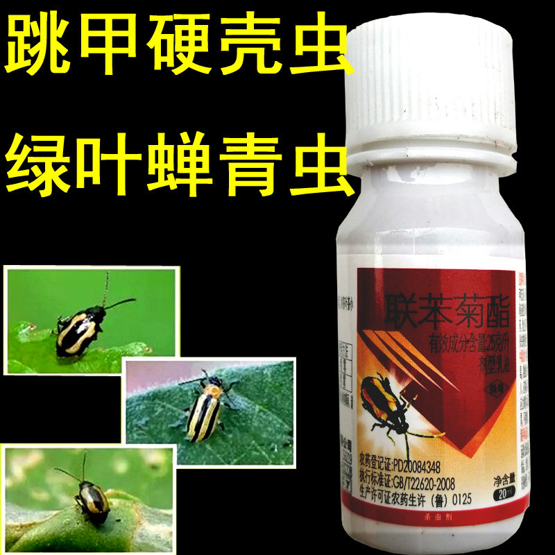 跳甲杀虫剂联苯菊酯蔬菜白菜萝卜青菜药材茶小绿叶蝉硬壳20瓶包邮
