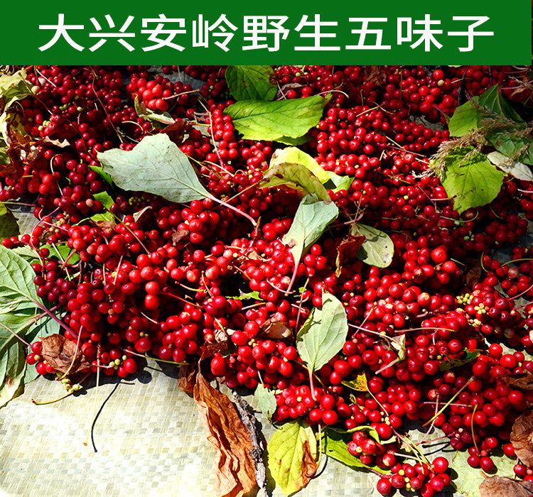 东北大兴安岭野生五味子北五味子250克包邮
