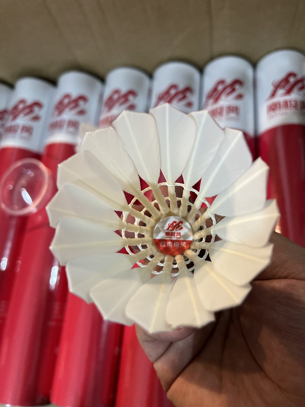 哪儿买 南极风彩色红皮头 羽毛球 其它品牌other 中羽在线 badminton